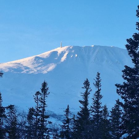 Ny Leilighet Med Flott Utsikt Til Gaustatoppen Рьюкан Экстерьер фото