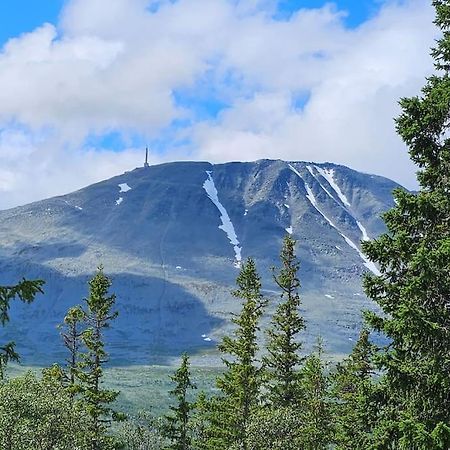 Ny Leilighet Med Flott Utsikt Til Gaustatoppen Рьюкан Экстерьер фото