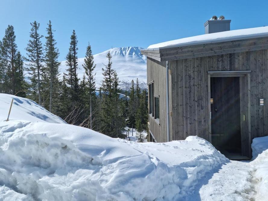 Ny Leilighet Med Flott Utsikt Til Gaustatoppen Рьюкан Экстерьер фото