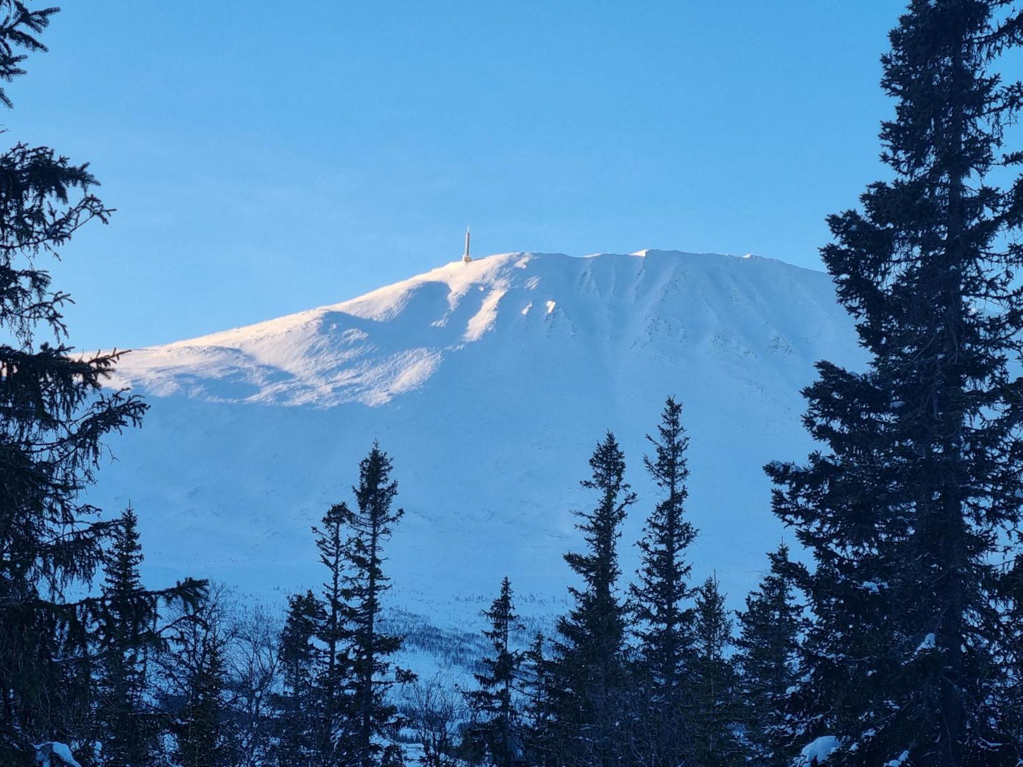 Ny Leilighet Med Flott Utsikt Til Gaustatoppen Рьюкан Экстерьер фото