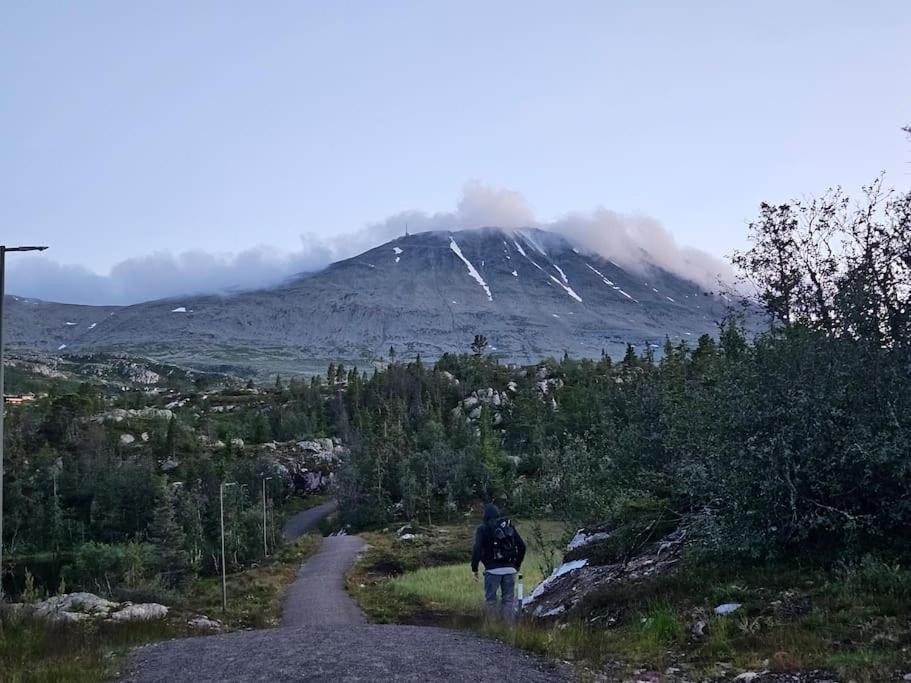 Ny Leilighet Med Flott Utsikt Til Gaustatoppen Рьюкан Экстерьер фото