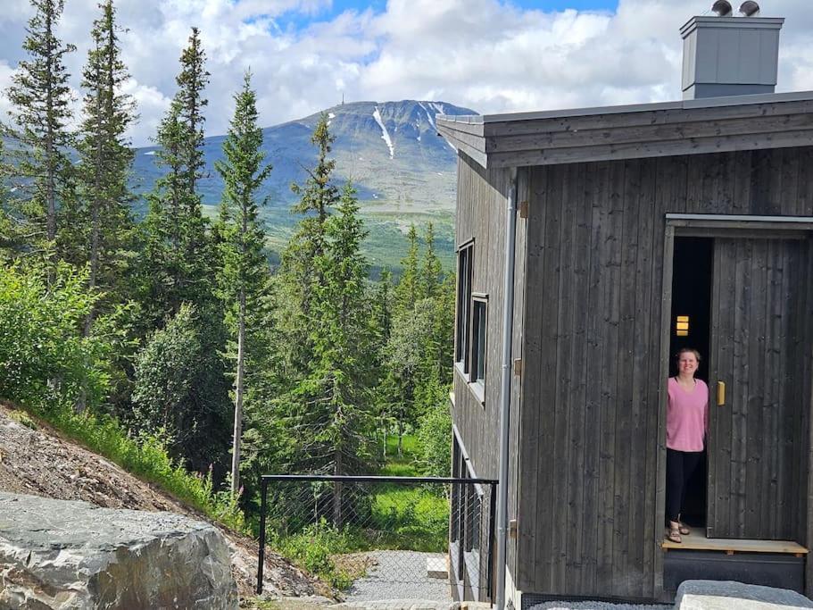 Ny Leilighet Med Flott Utsikt Til Gaustatoppen Рьюкан Экстерьер фото