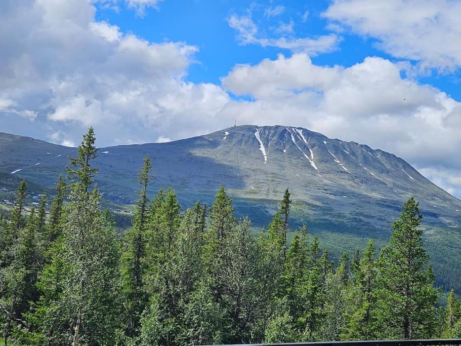 Ny Leilighet Med Flott Utsikt Til Gaustatoppen Рьюкан Экстерьер фото
