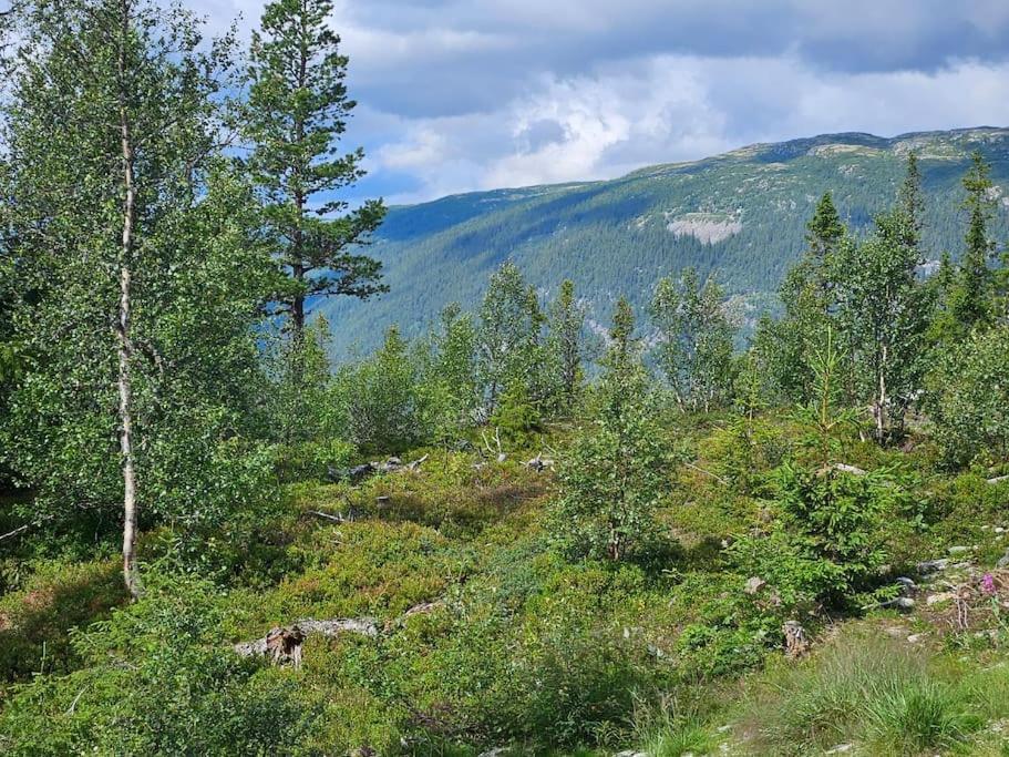 Ny Leilighet Med Flott Utsikt Til Gaustatoppen Рьюкан Экстерьер фото