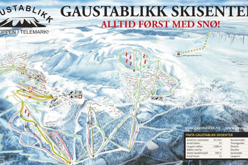 Ny Leilighet Med Flott Utsikt Til Gaustatoppen Рьюкан Экстерьер фото
